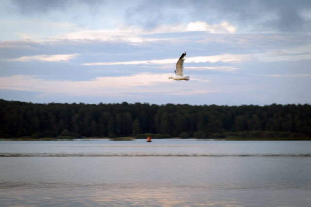 Лето 2019 года. Фотограф Вениамин Чукалов. Лето 2019 года. Фотограф Вениамин Чукалов.