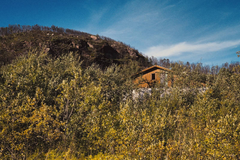 Северная природа, окрестности Ара-Губы и Видяево, август 2020 года, фотограф Вениамин Чукалов