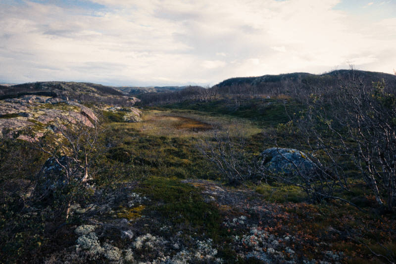 Северная природа, окрестности Ара-Губы и Видяево, август 2020 года, фотограф Вениамин Чукалов