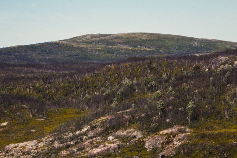 Северная природа, окрестности Ара-Губы и Видяево, август 2020 года, фотограф Вениамин Чукалов