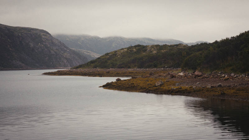 Северная природа, окрестности Ара-Губы и Видяево, август 2020 года, фотограф Вениамин Чукалов