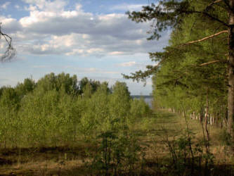 Фотограф Вениамин Чукалов