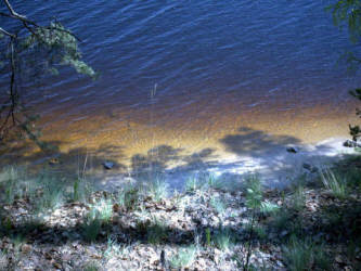 Фотограф Вениамин Чукалов