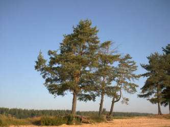 Фотограф Вениамин Чукалов