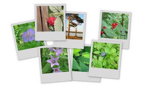 Фотограф Вениамин Чукалов