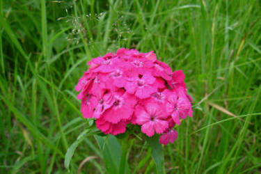 Фотограф Вениамин Чукалов