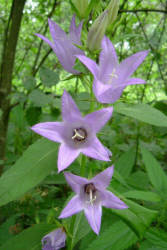 Фотограф Вениамин Чукалов