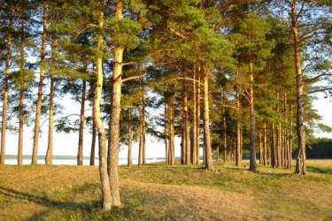 Фотограф Вениамин Чукалов