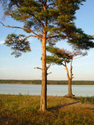 Фотограф Вениамин Чукалов