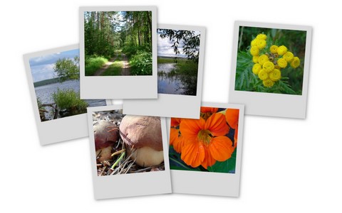 Фотограф Вениамин Чукалов