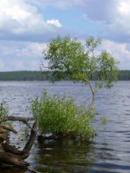 Фотограф Вениамин Чукалов