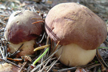 Фотограф Вениамин Чукалов