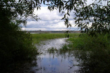 Фотограф Вениамин Чукалов