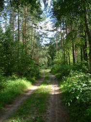 Фотограф Вениамин Чукалов