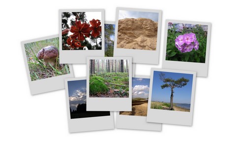 Фотограф Вениамин Чукалов