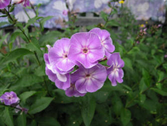 Фотограф Вениамин Чукалов