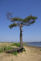 Фотограф Вениамин Чукалов