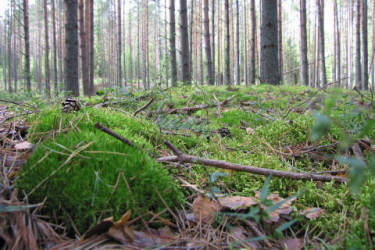 Фотограф Вениамин Чукалов