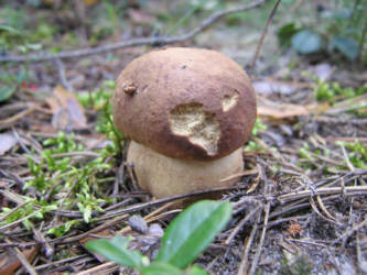 Фотограф Вениамин Чукалов