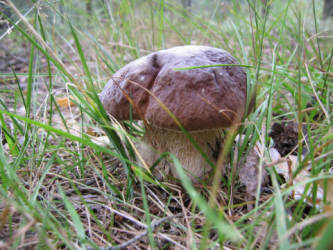 Фотограф Вениамин Чукалов