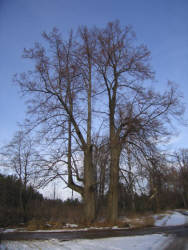 Фотограф Вениамин Чукалов