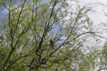 Фотограф Вениамин Чукалов