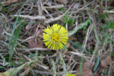 Фотограф Вениамин Чукалов