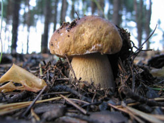 Фотограф Вениамин Чукалов