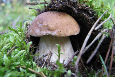 Фотограф Вениамин Чукалов