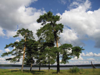 Фотограф Вениамин Чукалов