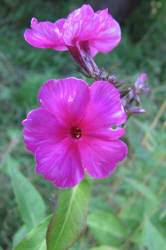 Фотограф Вениамин Чукалов