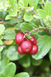 Фотограф Вениамин Чукалов