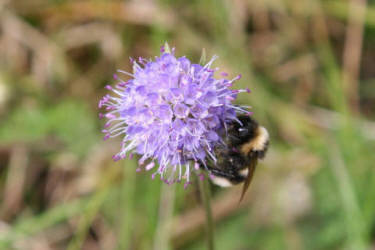 Фотограф Вениамин Чукалов