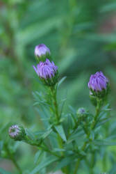 Фотограф Вениамин Чукалов
