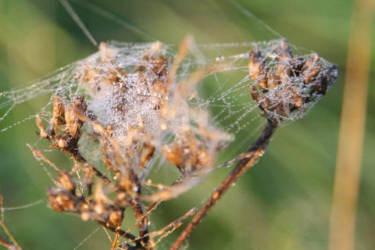 Фотограф Вениамин Чукалов