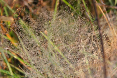 Фотограф Вениамин Чукалов