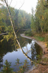 Фотограф Вениамин Чукалов