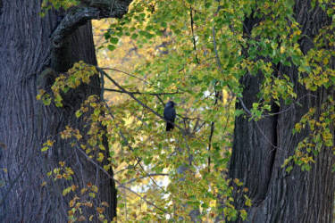 Фотограф Вениамин Чукалов