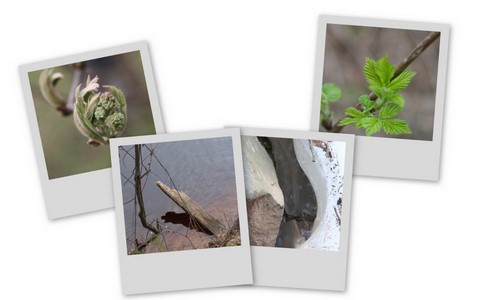 Фотограф Вениамин Чукалов