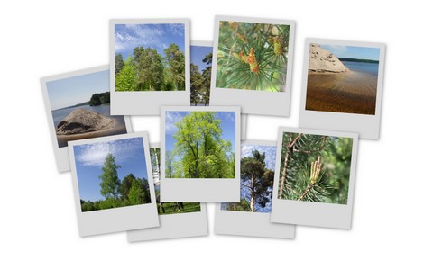 Фотограф Вениамин Чукалов