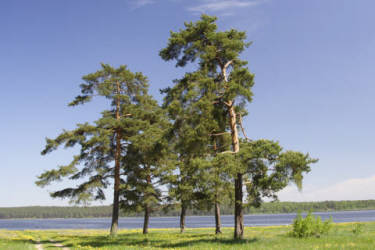 Фотограф Вениамин Чукалов
