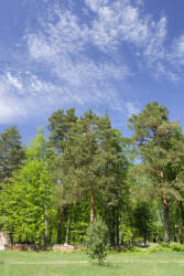 Фотограф Вениамин Чукалов