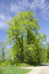 Фотограф Вениамин Чукалов