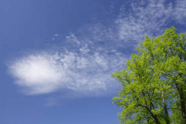 Фотограф Вениамин Чукалов