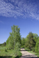 Фотограф Вениамин Чукалов