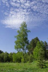 Фотограф Вениамин Чукалов