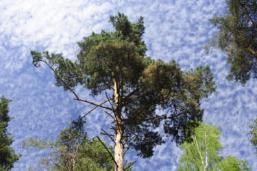 Фотограф Вениамин Чукалов