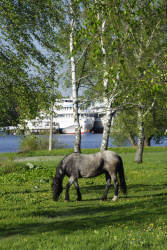 Фотограф Вениамин Чукалов