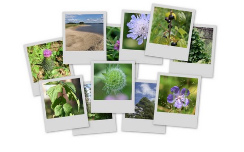 Фотограф Вениамин Чукалов