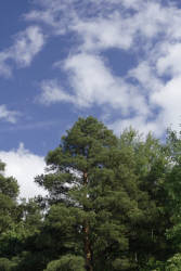 Фотограф Вениамин Чукалов